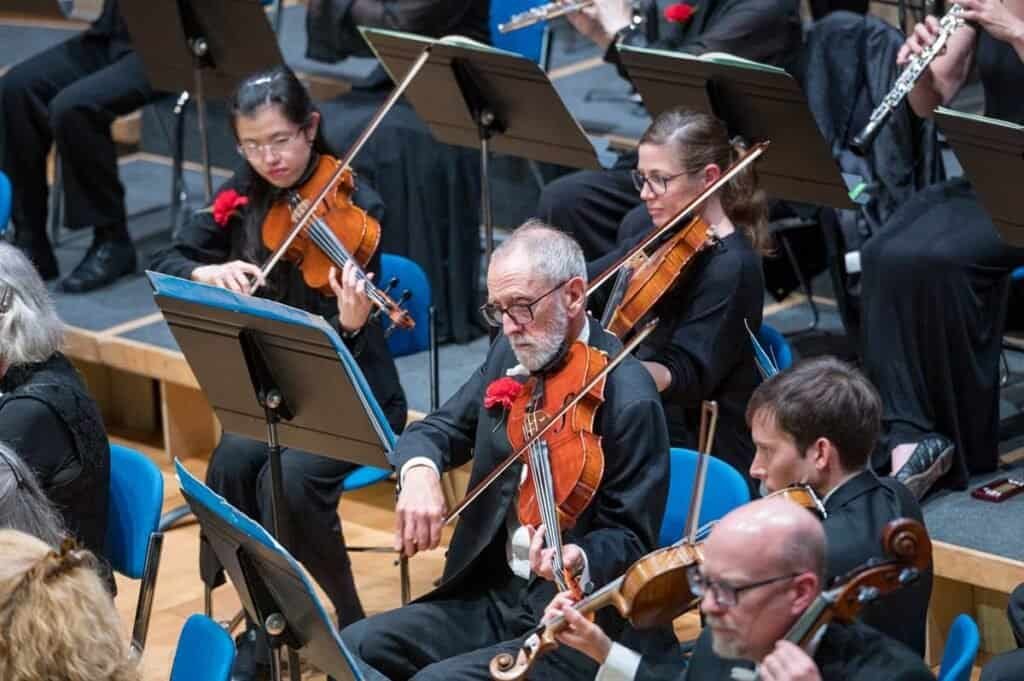 Elegant classical orchestra performance with violin and flute, Sampson Orchestra.